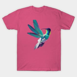 fancy hummingbird T-Shirt